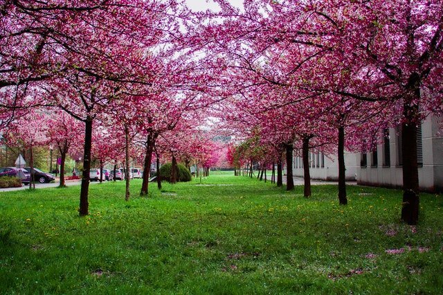 como afecta la primavera a los ancianos