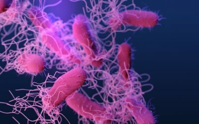 Lucha contra las superbacterias