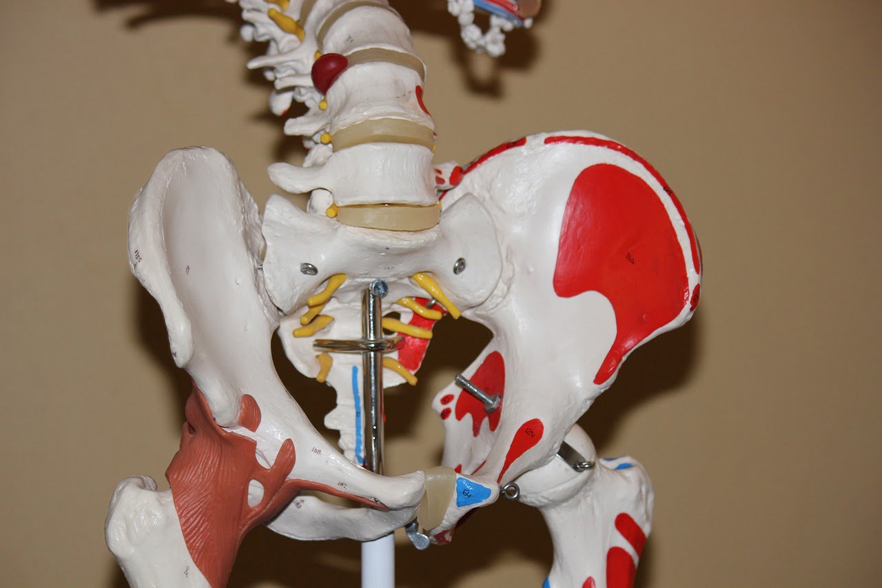 por-que-fracturas-cadera-afectan-mas-mujeres
