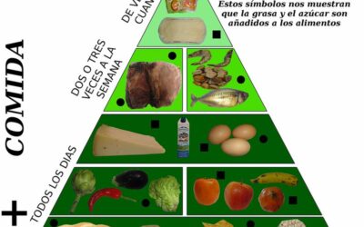 Alimentación en residencias de mayores