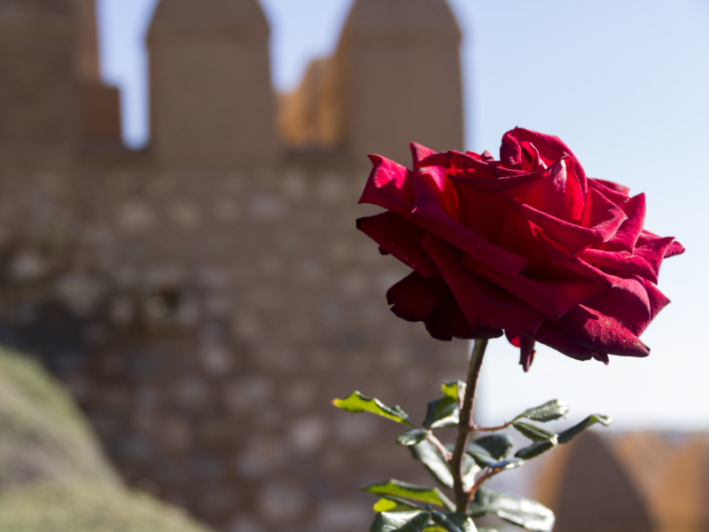 mejores-residencias-de-mayores-en-almeria