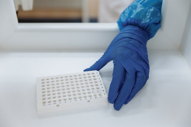 reparar-sinapsis-danadas-en-el-alzheimer